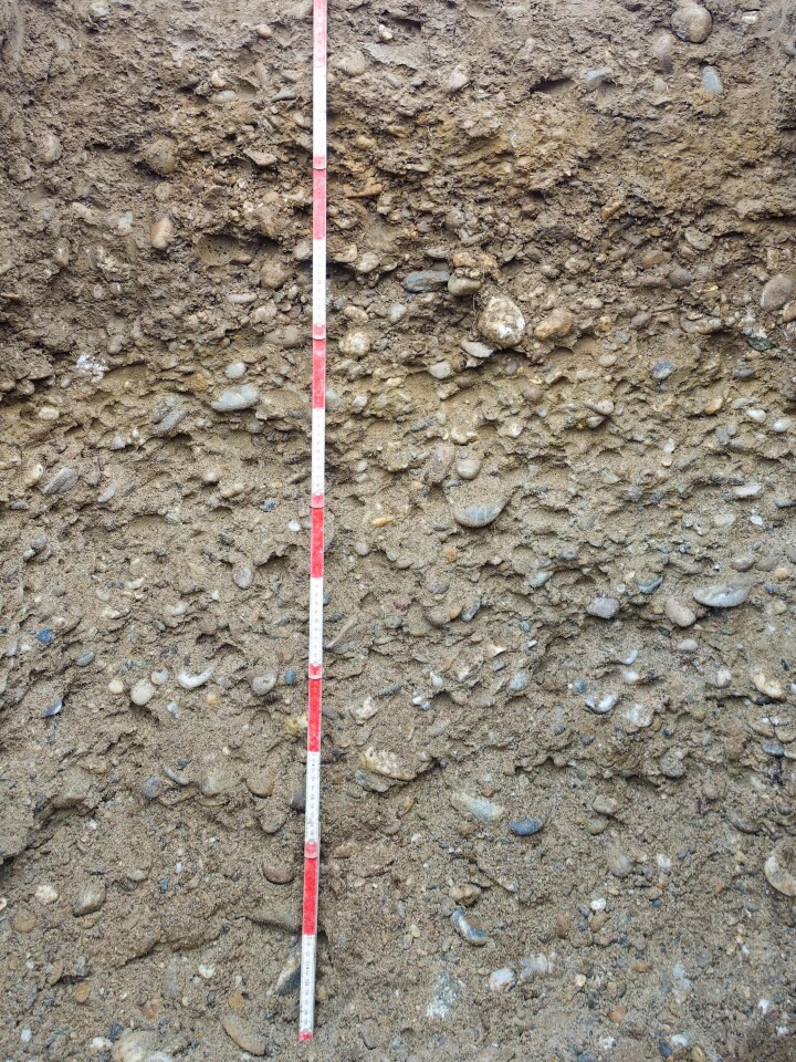 bsb kompensation fruchtfolgeflaechen 05