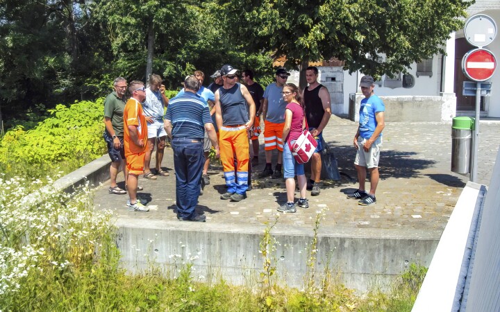 bsb neophyten kurse solothurn 07