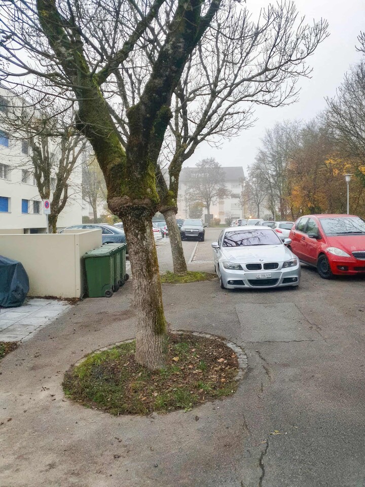 bsb projekt san tannenweg solothurn 04