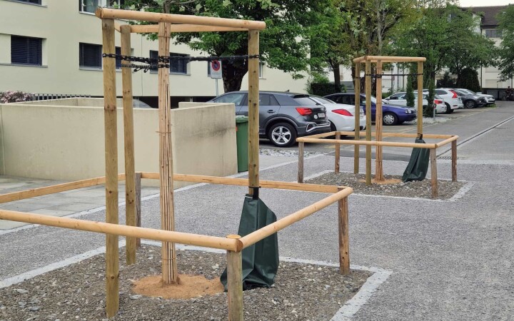 bsb projekt san tannenweg solothurn 16