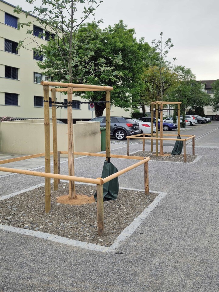 bsb projekt san tannenweg solothurn 16