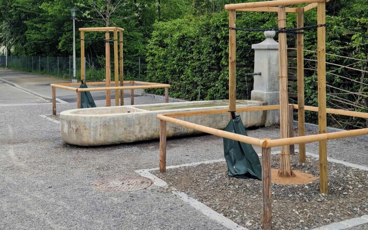 bsb projekt san tannenweg solothurn 17