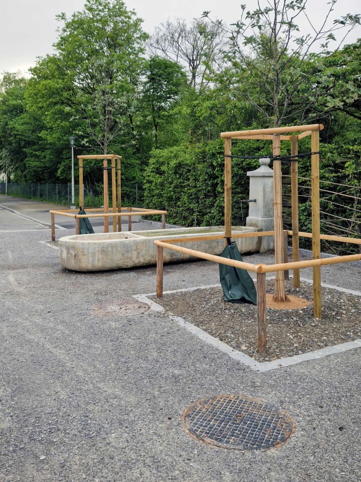 bsb projekt san tannenweg solothurn 17