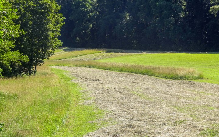 bsb vernetzungsprojekte solothurn 01