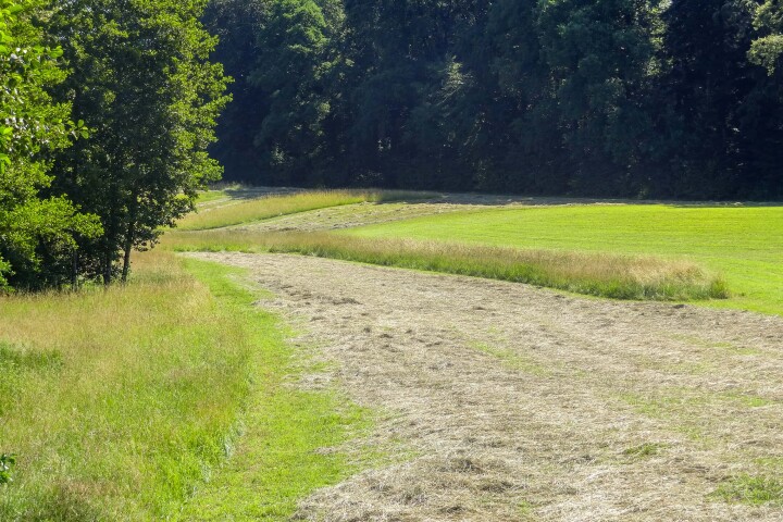 bsb vernetzungsprojekte solothurn 01