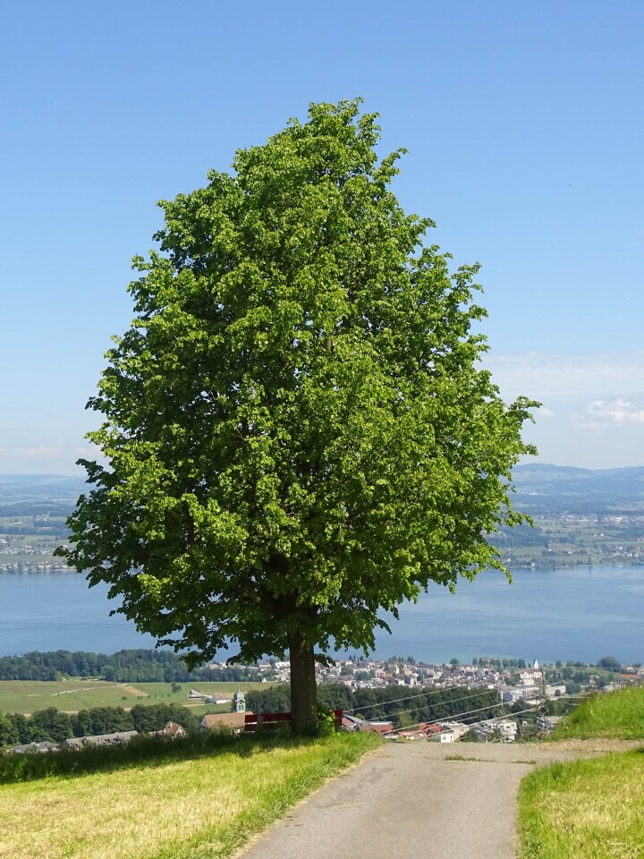 bsb vernetzungsprojekte solothurn 03