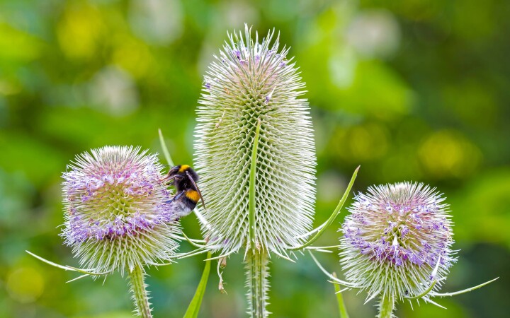 bsb vernetzungsprojekte solothurn 06