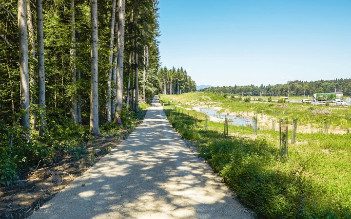 bsb revialisierung oberholzbach utzenstorf 01