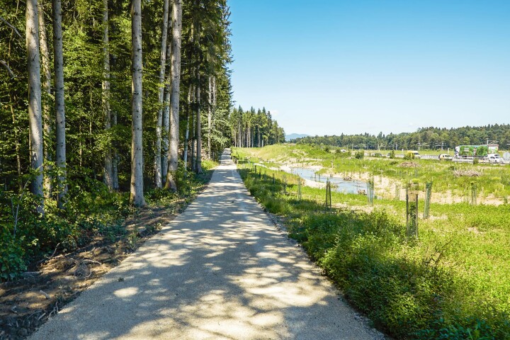 bsb revialisierung oberholzbach utzenstorf 01