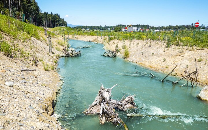 bsb revialisierung oberholzbach utzenstorf 03