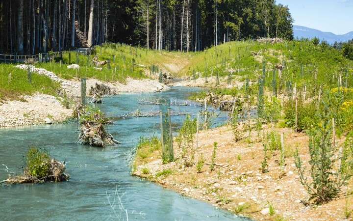bsb revialisierung oberholzbach utzenstorf 04