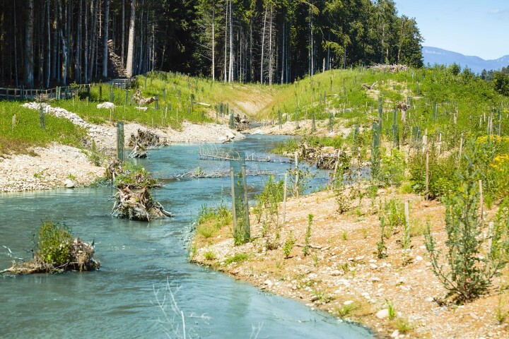 bsb revialisierung oberholzbach utzenstorf 04