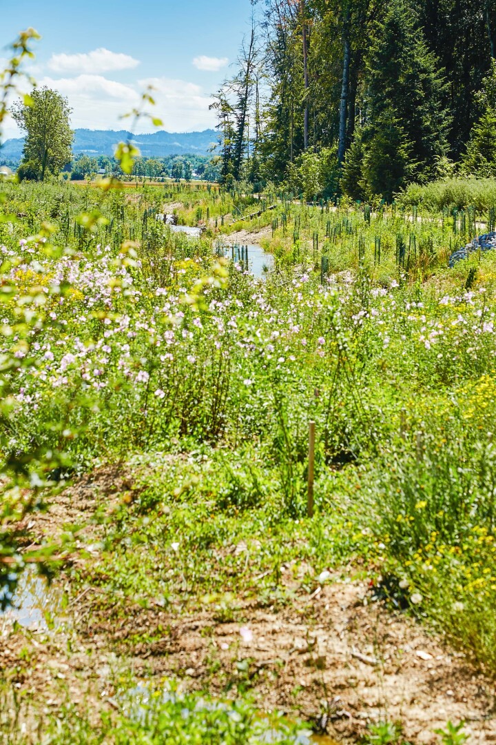 bsb revialisierung oberholzbach utzenstorf 06