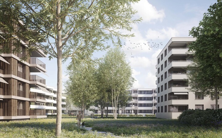 bsb riverside zuchwil 02