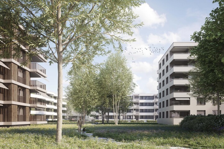 bsb riverside zuchwil 02