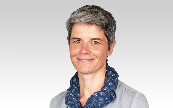 bsb mitarbeitende hulliger marianne