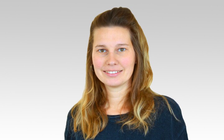 bsb mitarbeitende schwabe amena