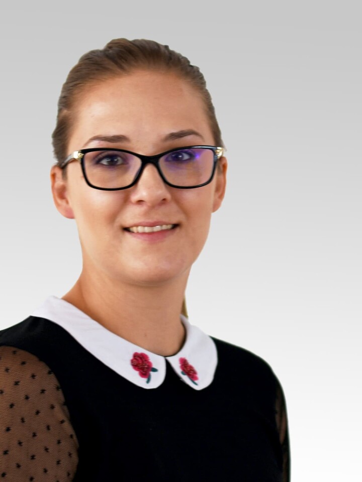 bsb mitarbeitende vogrinec spela